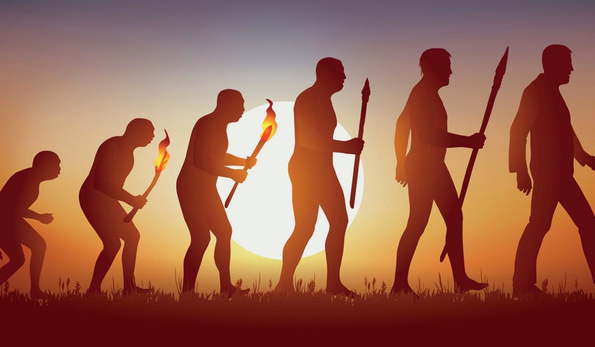 Ape evolving into human