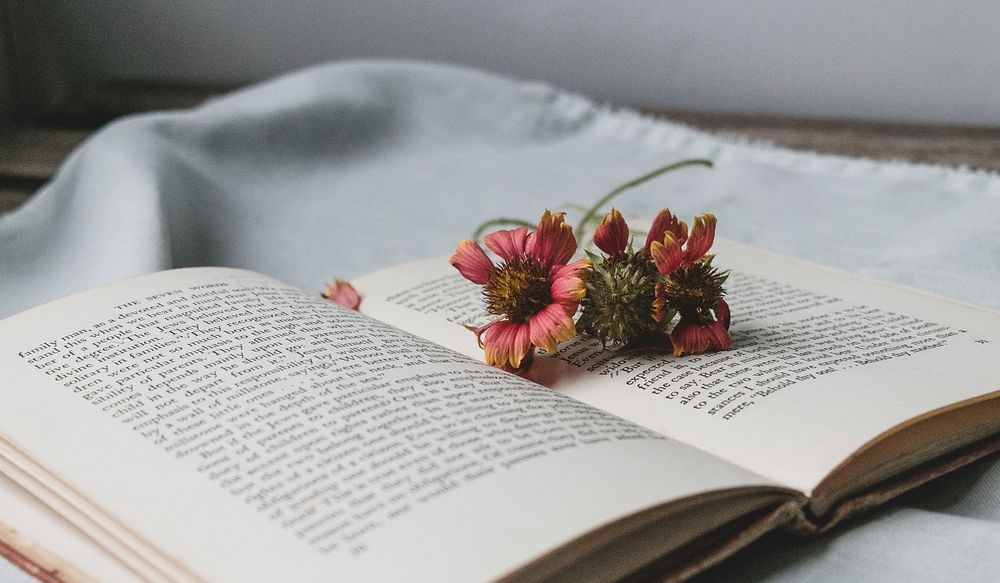 Flowers resting on an open book