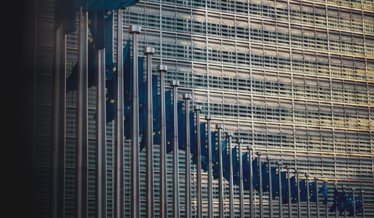 Row of EU flags